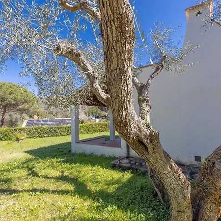 Villetta Bagnaia - Goelba Casa vacanze